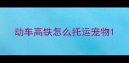 动车高铁怎么托运宠物