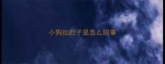 小狗拉肚子是怎么回事