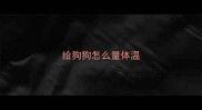 给狗狗怎么量体温
