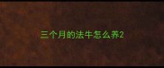 三个月的法牛怎么养