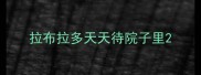 拉布拉多天天待院子里