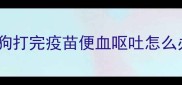 狗狗打完疫苗便血呕吐怎么办
