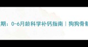 幼犬补钙关键期0-6月龄科学补钙指南狗狗骨骼发育全攻略