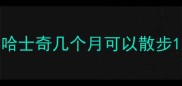 哈士奇几个月可以散步