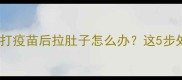 疫苗后猫咪腹泻全攻略打疫苗后拉肚子怎么办这5步处理法让主子安全度过