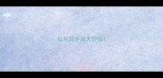 拉布拉多苗犬价格
