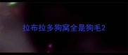 拉布拉多狗窝全是狗毛