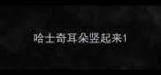 哈士奇耳朵竖起来