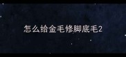 怎么给金毛修脚底毛