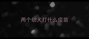 两个幼犬打什么疫苗