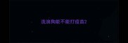 流浪狗能不能打疫苗