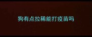 狗有点拉稀能打疫苗吗