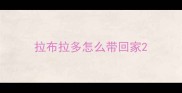 拉布拉多怎么带回家