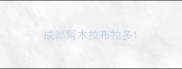 成都阿木拉布拉多