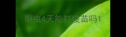 驱虫4天能打疫苗吗
