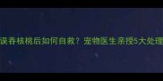 小狗误吞核桃后如何自救宠物医生亲授5大处理步骤
