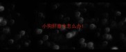 小狗肝腹水怎么办
