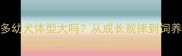 拉布拉多幼犬体型大吗从成长规律到饲养要点全