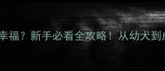 哈士奇养到几岁最幸福新手必看全攻略从幼犬到成犬全周期养护指南