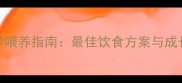 金毛幼犬科学喂养指南最佳饮食方案与成长关键期营养