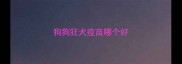 狗狗狂犬疫苗哪个好
