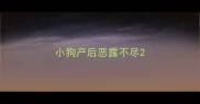 小狗产后恶露不尽