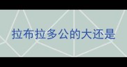 拉布拉多公的大还是