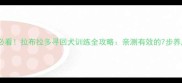 新手必看拉布拉多寻回犬训练全攻略亲测有效的7步养成技巧