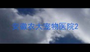 安徽农大宠物医院
