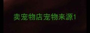 卖宠物店宠物来源