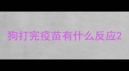 狗打完疫苗有什么反应