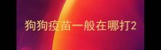 狗狗疫苗一般在哪打