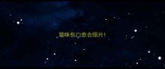 猫咪伤口愈合照片
