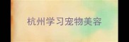 杭州学习宠物美容