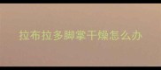 拉布拉多脚掌干燥怎么办