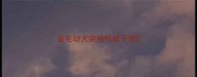 金毛幼犬突然咳嗽干呕