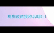 狗狗疫苗接种后呕吐