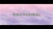 狗狗对孕妇的影响