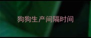狗狗生产间隔时间