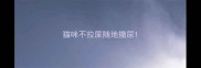 猫咪不拉屎随地撒尿