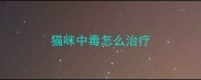 猫咪中毒怎么治疗