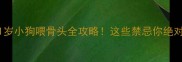 3个月到1岁小狗喂骨头全攻略这些禁忌你绝对不知道