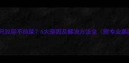 拉布拉多只拉尿不拉屎5大原因及解决方法全附专业兽医建议