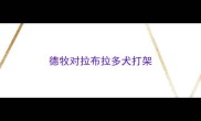 德牧对拉布拉多犬打架