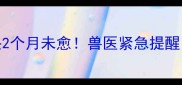 哈士奇误食鸡骨头2个月未愈兽医紧急提醒这些骨头伤不起