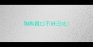 狗狗胃口不好还吐