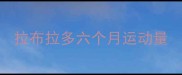 拉布拉多六个月运动量