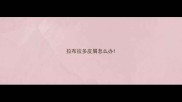 拉布拉多皮屑怎么办