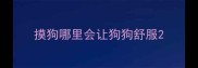 摸狗哪里会让狗狗舒服