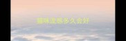 猫咪流感多久会好